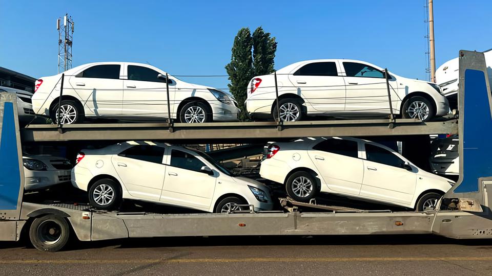 «Кобальты» из Узбекистана начали поставлять в Монголию