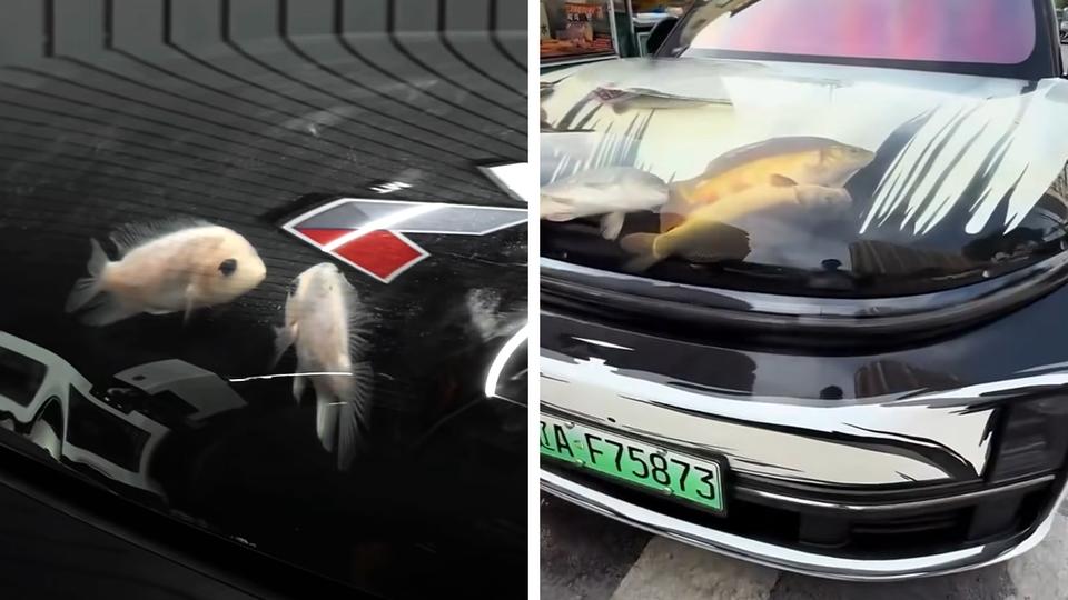 Из капота Chevrolet Gentra сделали аквариум