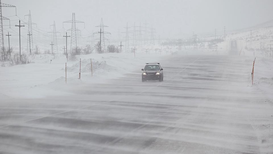 Водители столкнулись с бураном. Что делать в такой ситуации?