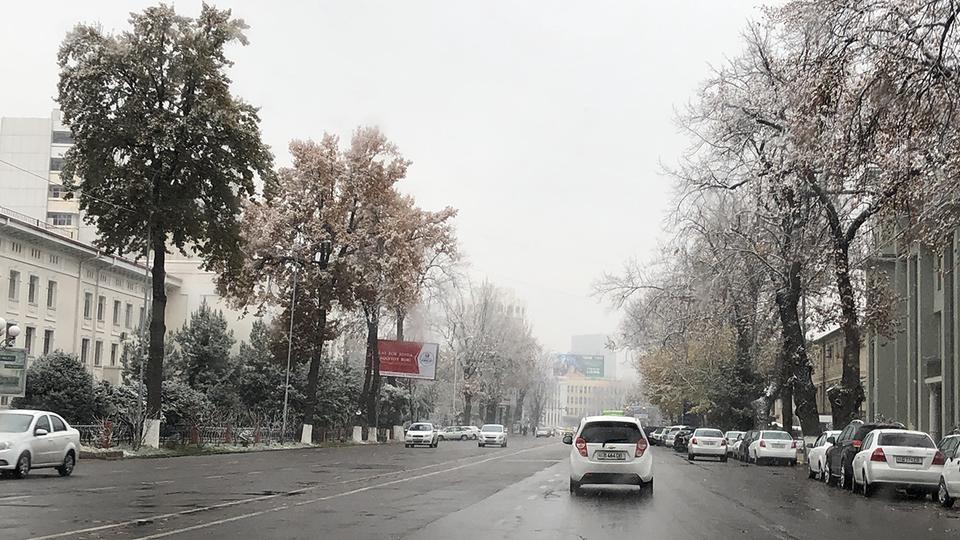 Можно ли ездить на всесезонных шинах зимой