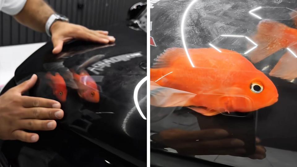 Из капота Chevrolet Gentra сделали аквариум