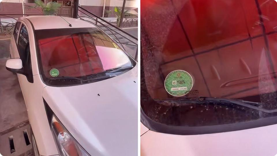 Katalizatorsiz avtomobil yashil ekostikerga ega bo‘lishi mumkin