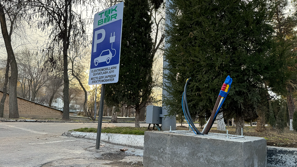 Гибрид, электрокар или ДВС? Как изменился авторынок Узбекистана?