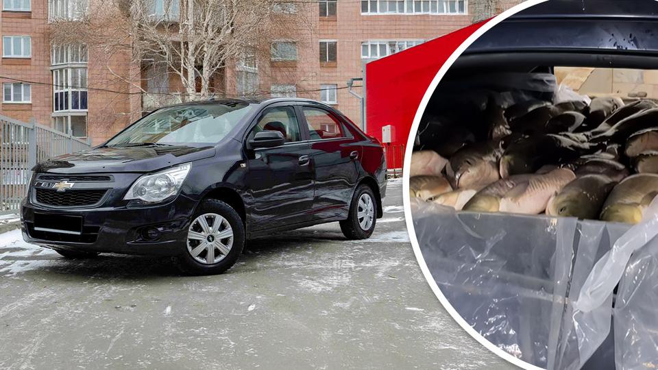 Chevrolet Cobalt стал аквариумом для рыб