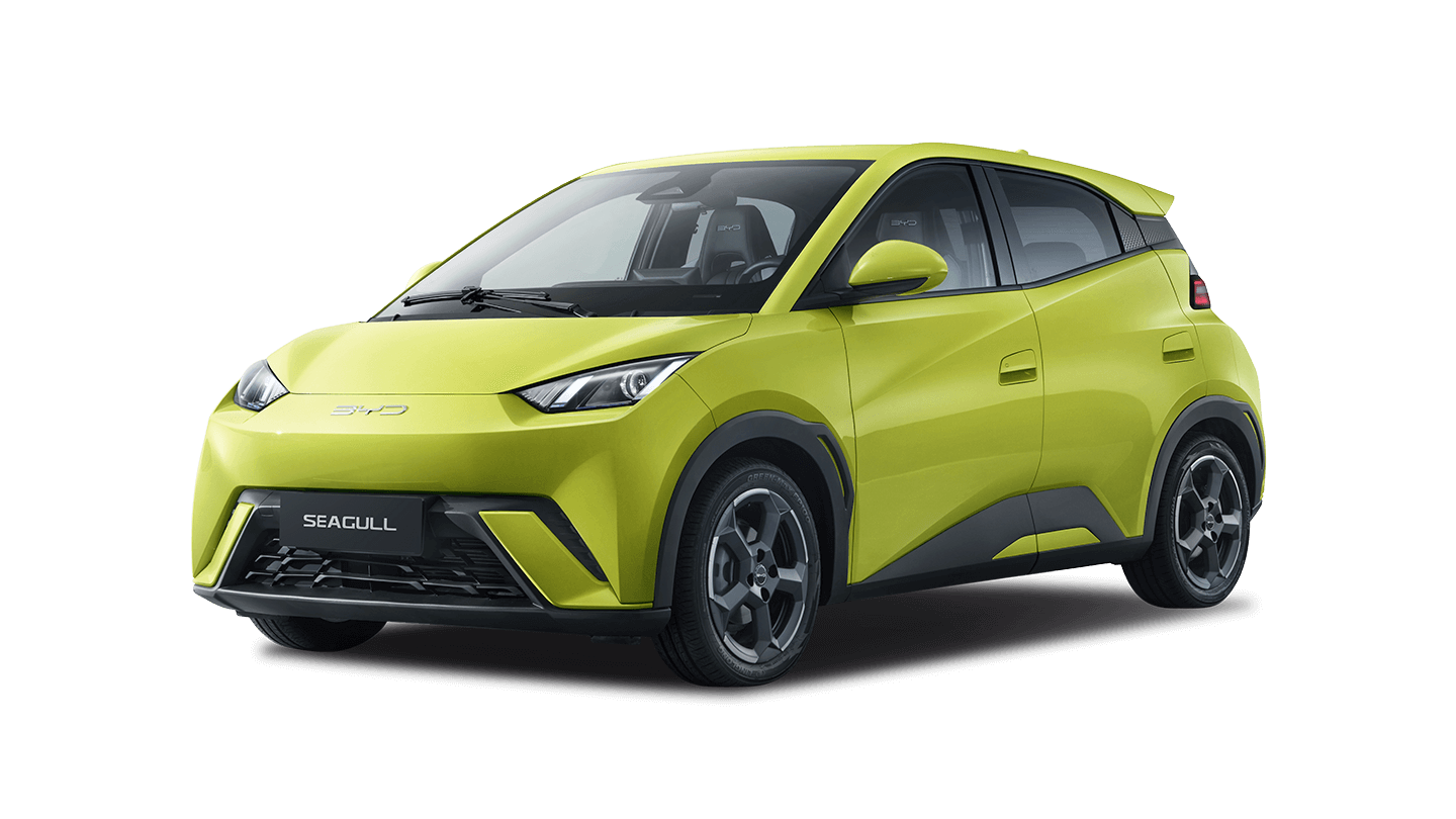 Новый BYD Seagull