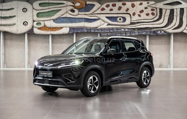 BYD Yuan Up