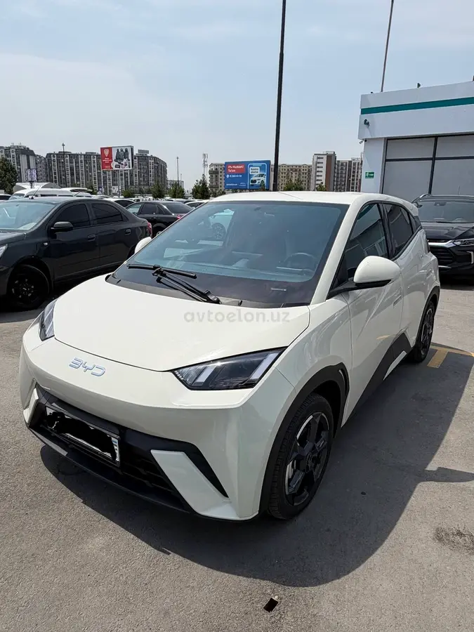 BYD Seagull