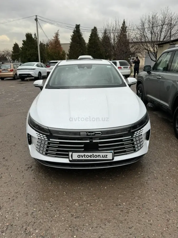 BYD Chazor