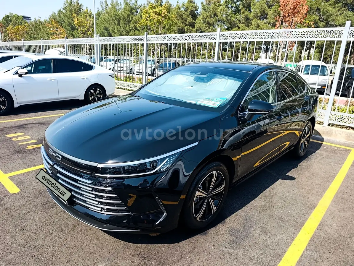 BYD Chazor