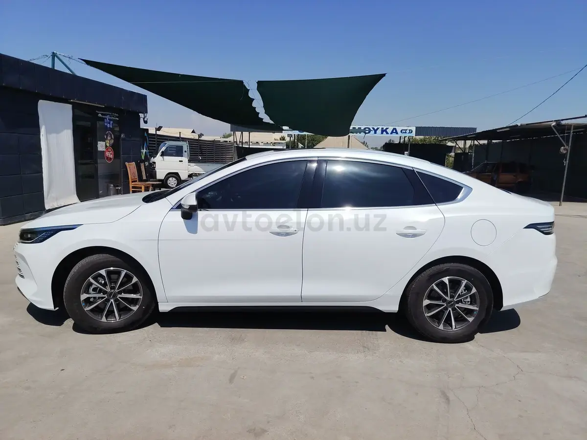 BYD Chazor