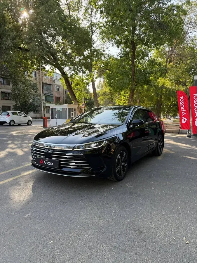 BYD Chazor