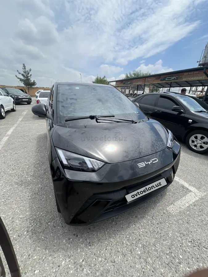 BYD Seagull