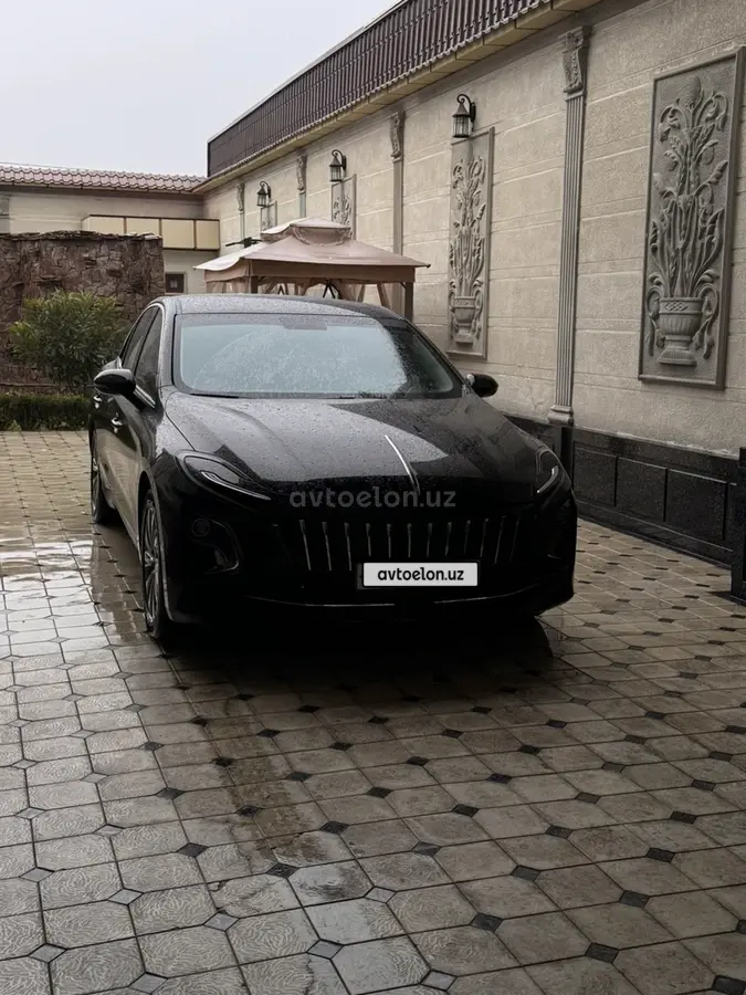 Hongqi E-QM5