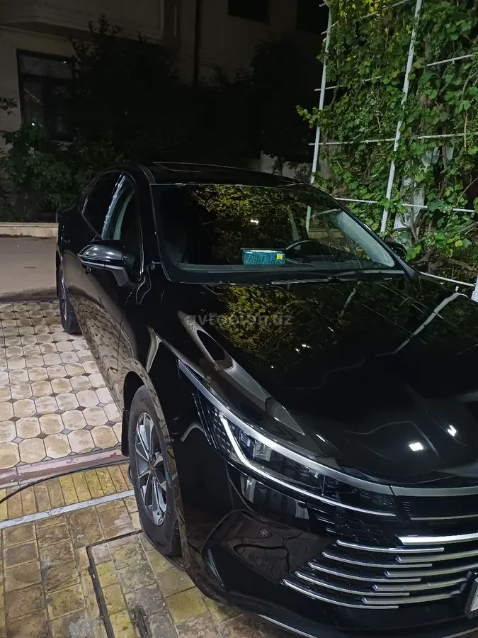 BYD Chazor