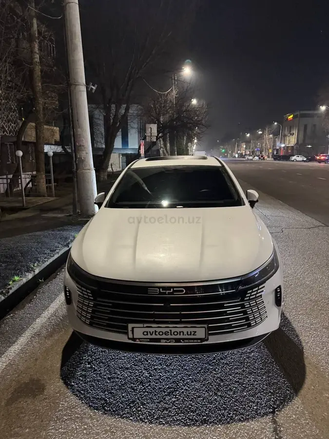 BYD Chazor