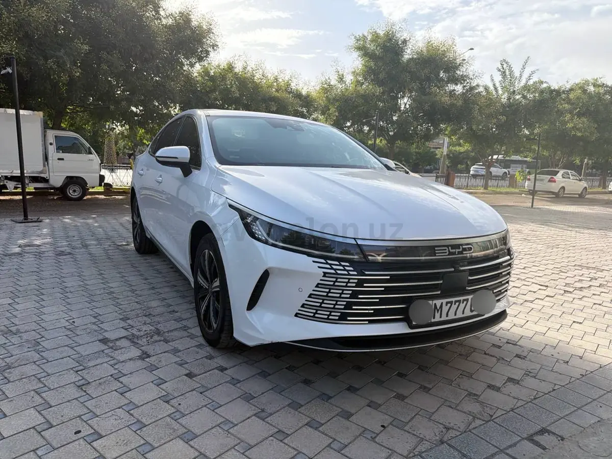 BYD Chazor