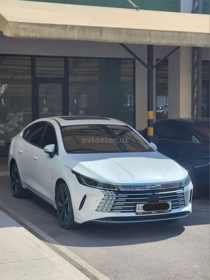 BYD Chazor