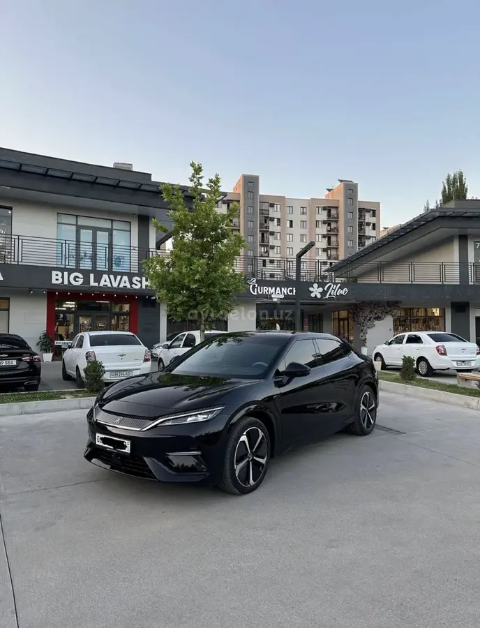 BYD Song L
