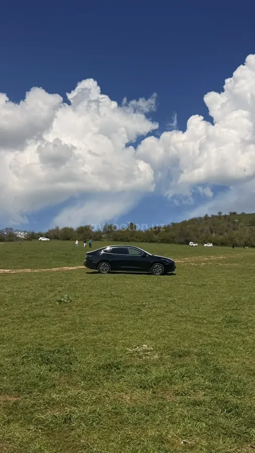 BYD Chazor