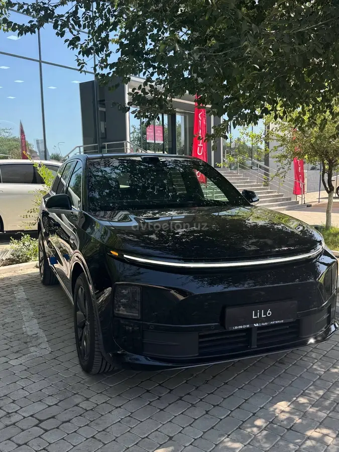 LI L6