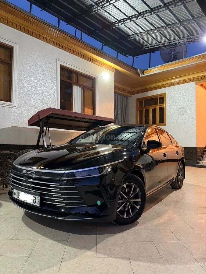 BYD Chazor