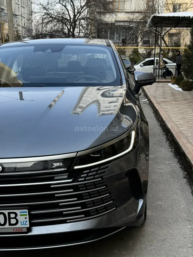 BYD Chazor