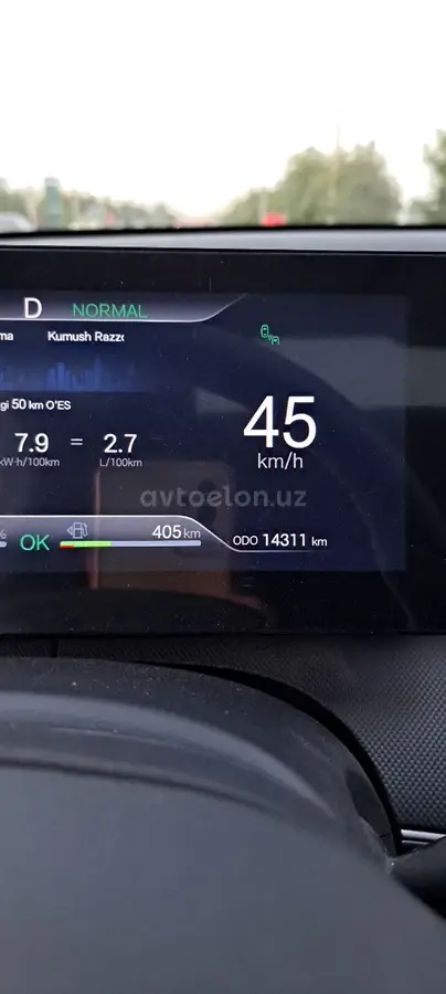 BYD Chazor