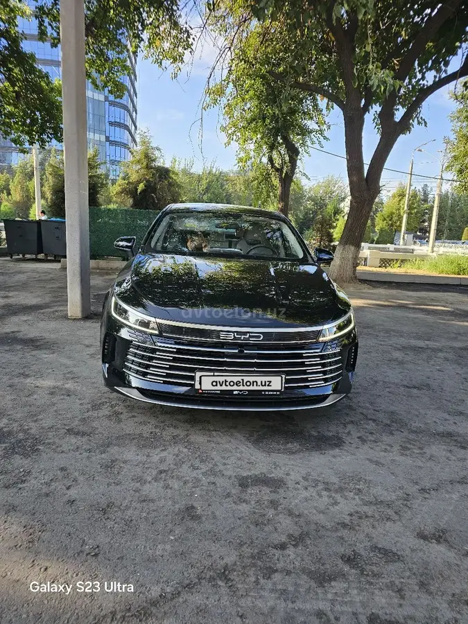 BYD Chazor