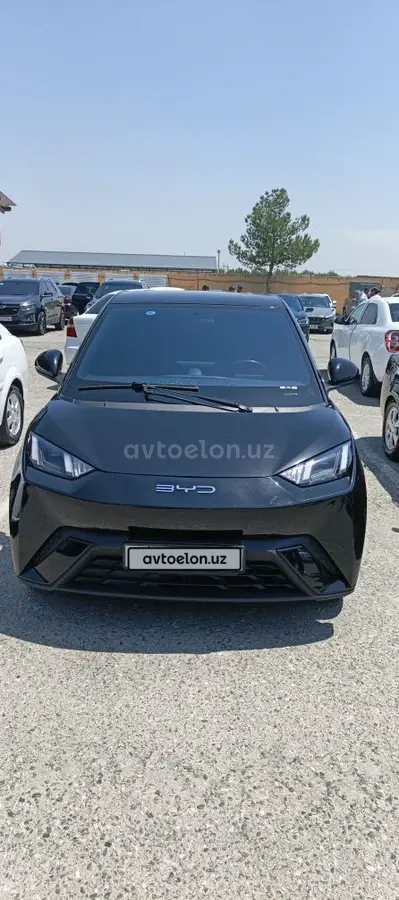 BYD Seagull