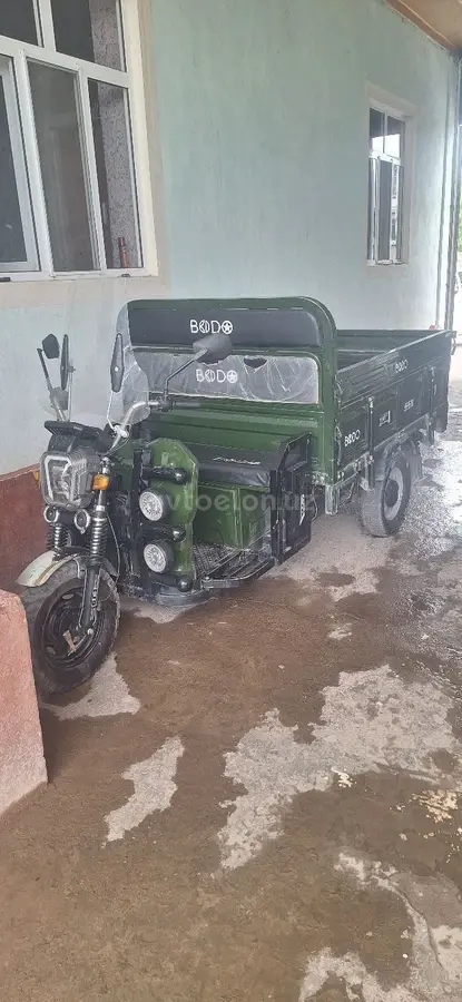 bodo