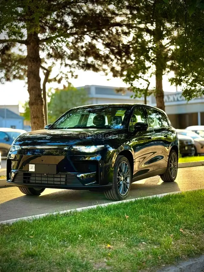 Leapmotor C10