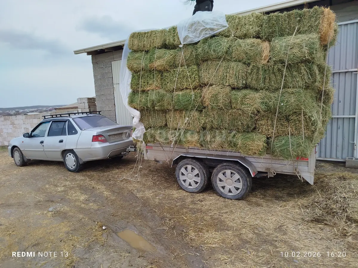 Chevrolet Nexia 2,  2 позиция DOHC
