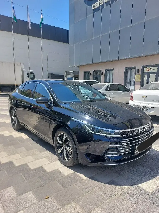 BYD Chazor