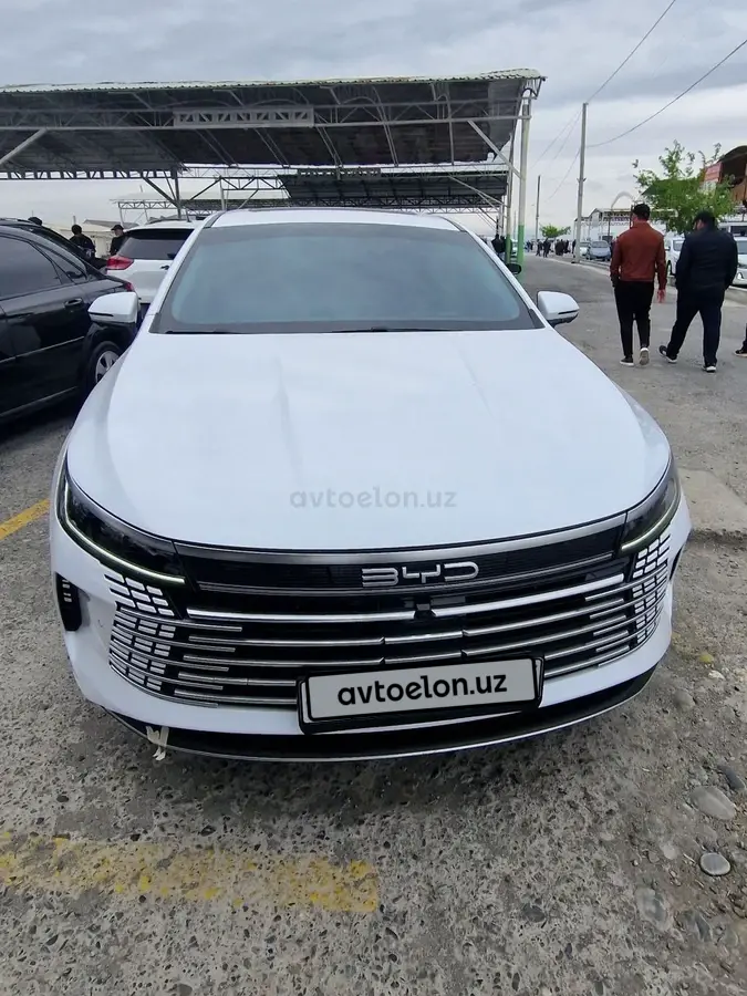 BYD Chazor