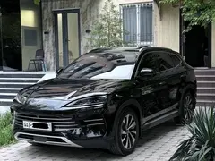 BYD Song Plus DM-i Champion, 2024