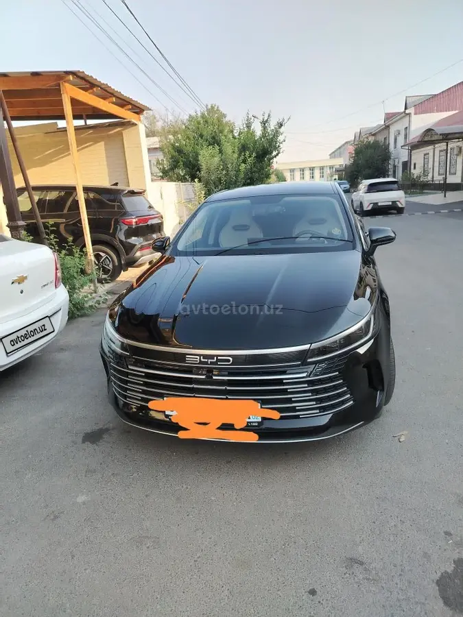 BYD Chazor