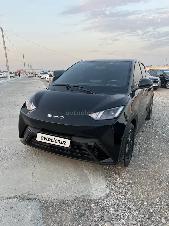 BYD Seagull