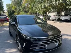BYD Chazor, 2024