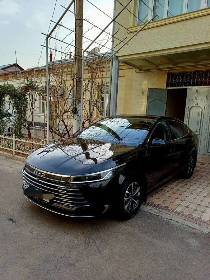 BYD Chazor