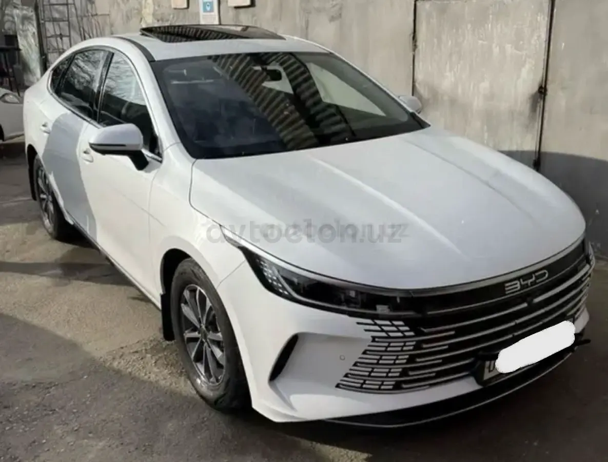 BYD Chazor