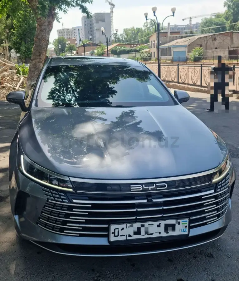 BYD Chazor