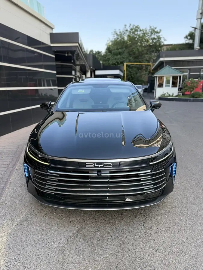 BYD Chazor