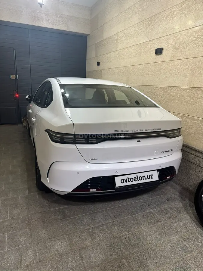 BYD Chazor