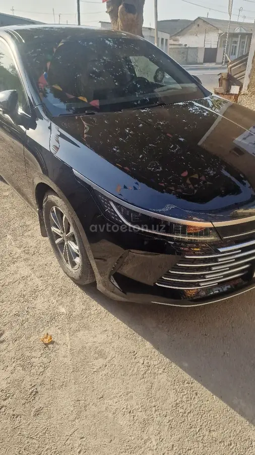 BYD Chazor