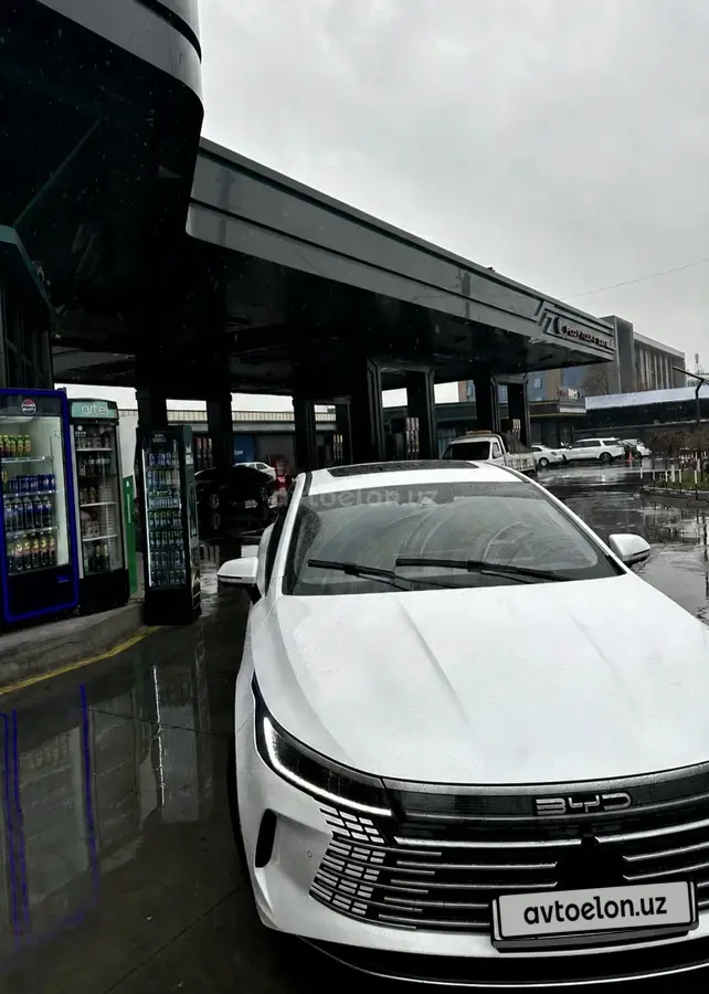 BYD Chazor