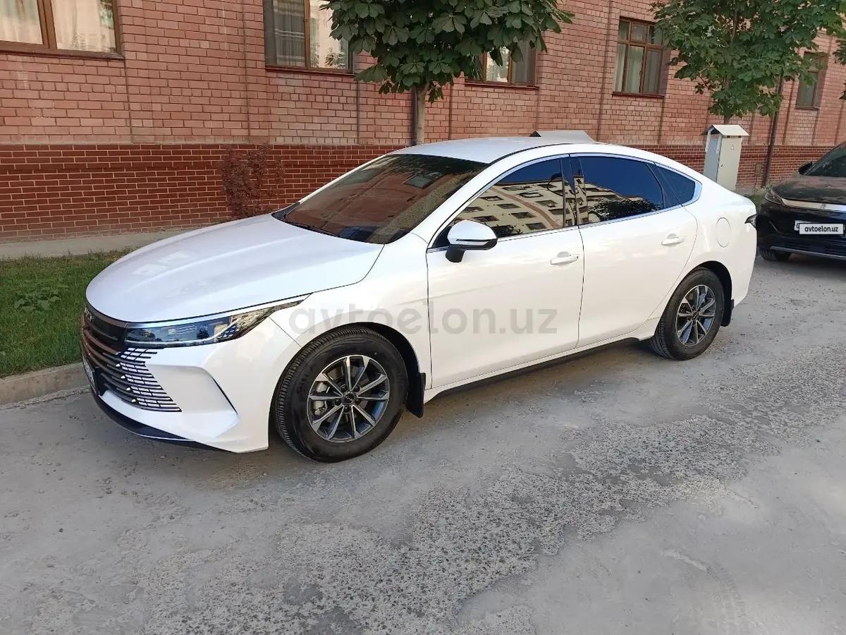 BYD Chazor