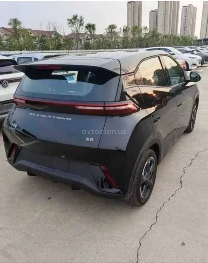 BYD Seagull
