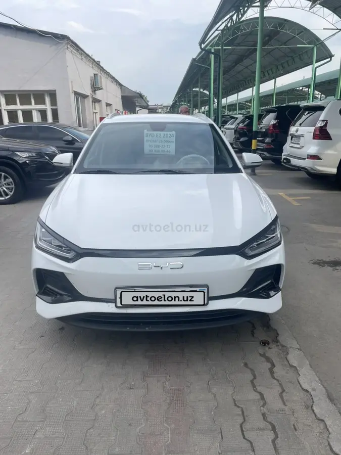 BYD e2