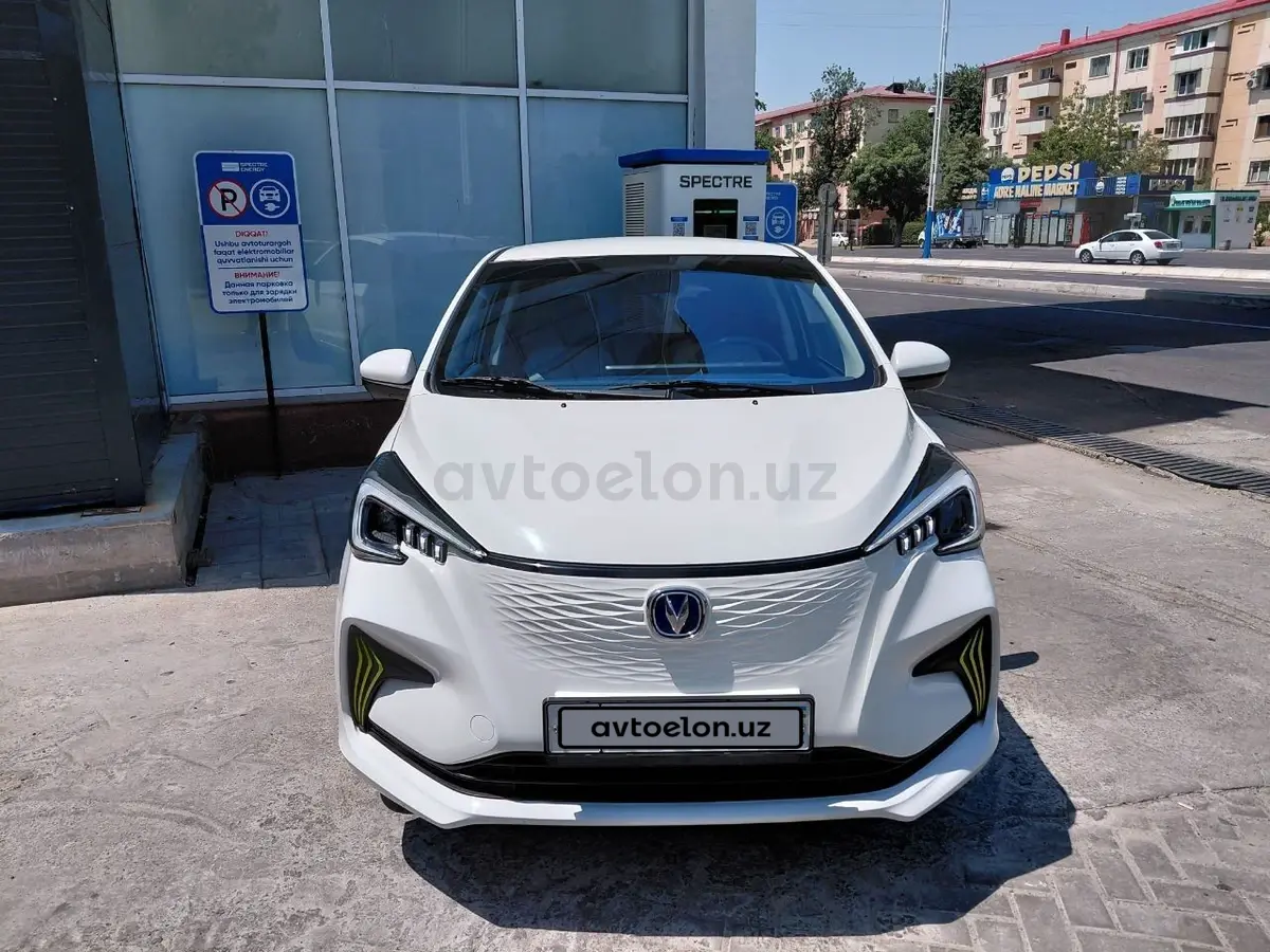 Changan Benben E-Star