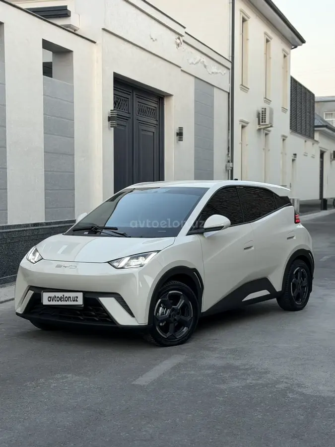 BYD Seagull